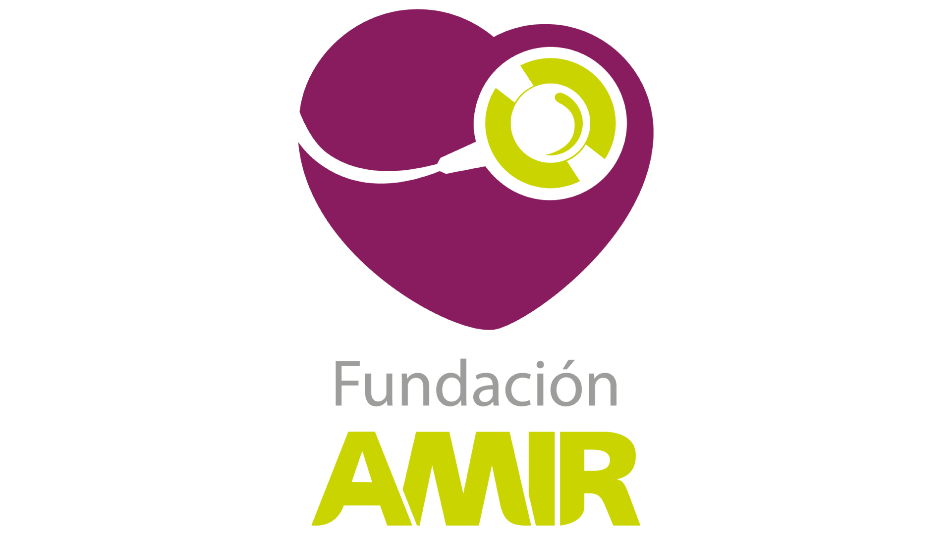 Fundación Amir